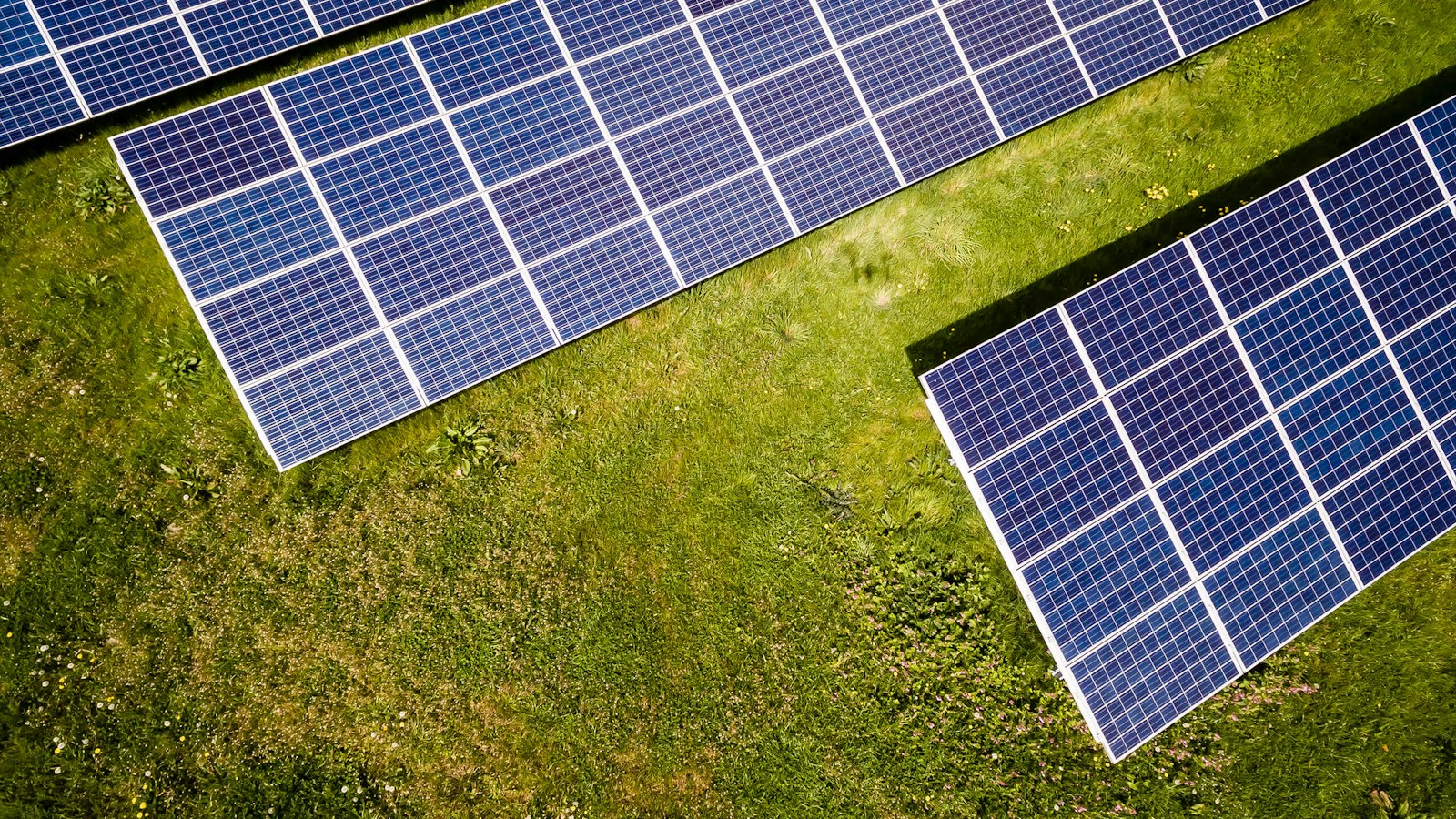 Pannelli fotovoltaici installati su un prato